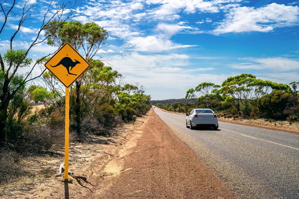 travel australia by car